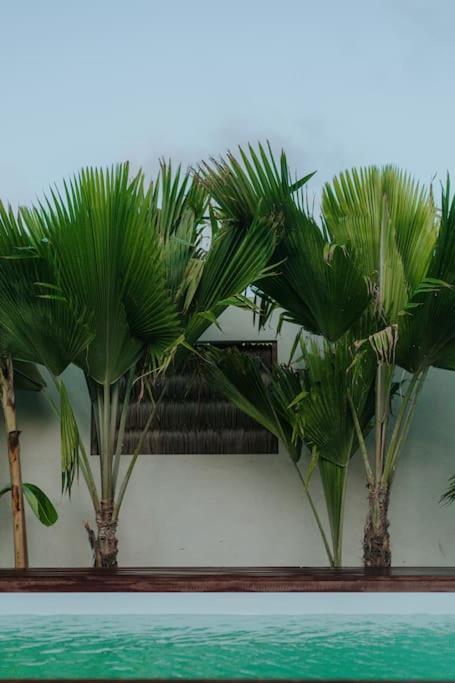 Breezy Chalet - Chale Havai Тутоя Экстерьер фото